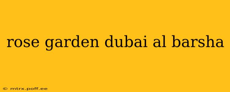 rose garden dubai al barsha