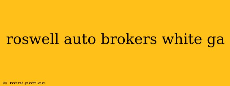 roswell auto brokers white ga