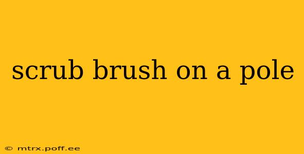 scrub brush on a pole