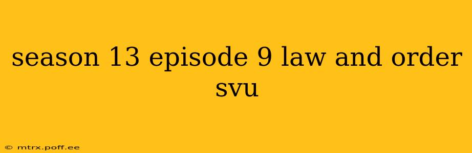 season 13 episode 9 law and order svu