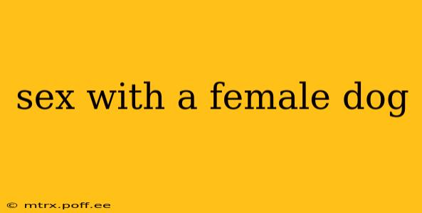 sex with a female dog