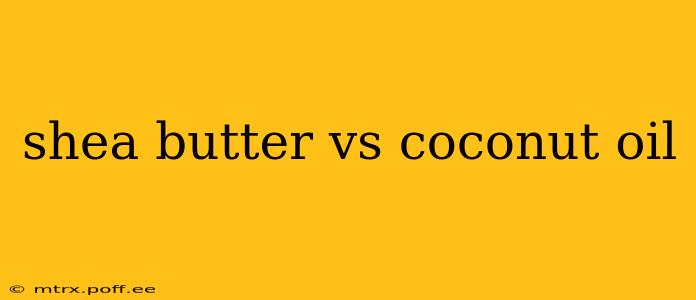 shea butter vs coconut oil