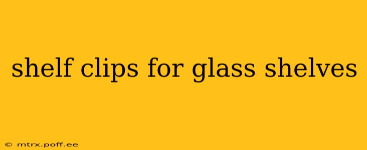 shelf clips for glass shelves