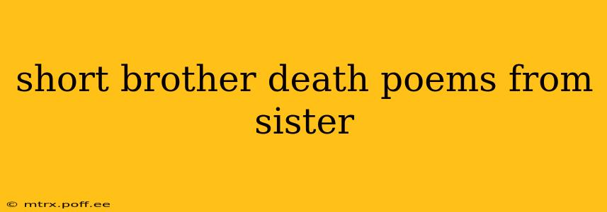 short brother death poems from sister