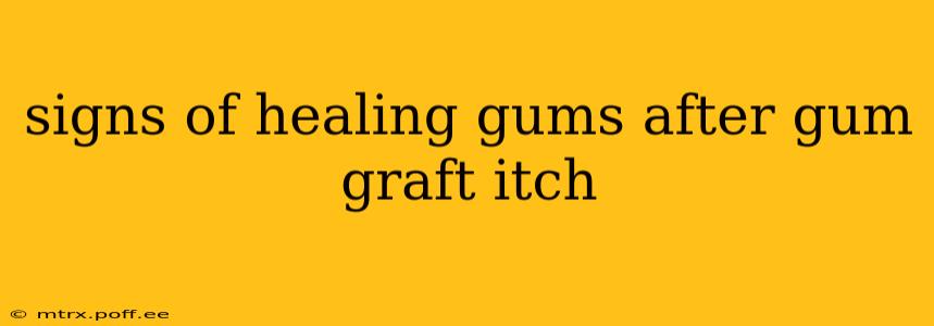 signs of healing gums after gum graft itch
