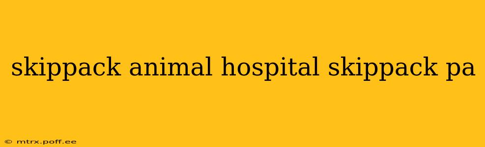 skippack animal hospital skippack pa