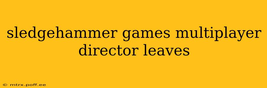 sledgehammer games multiplayer director leaves