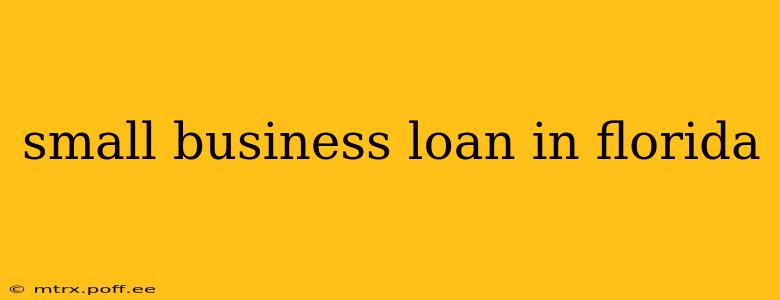 small business loan in florida