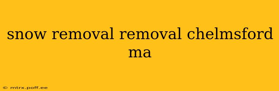 snow removal removal chelmsford ma