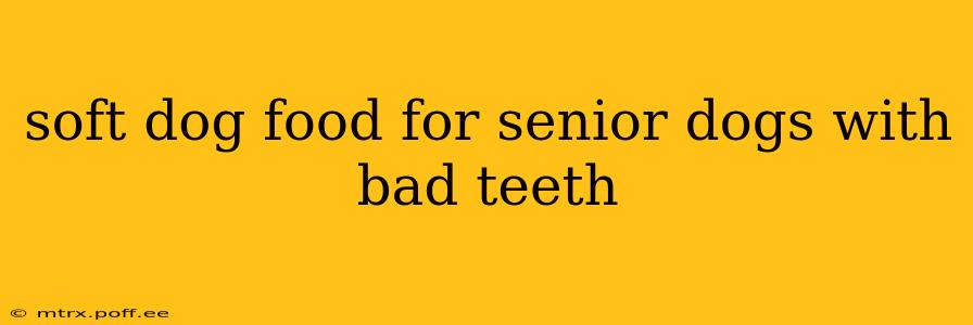 soft dog food for senior dogs with bad teeth