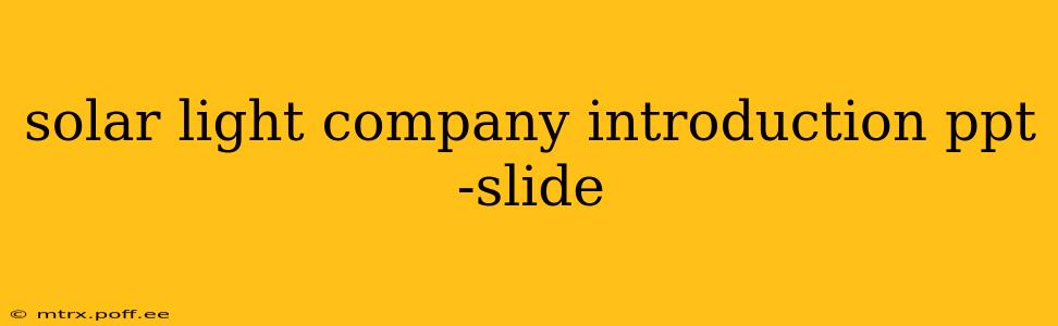 solar light company introduction ppt -slide