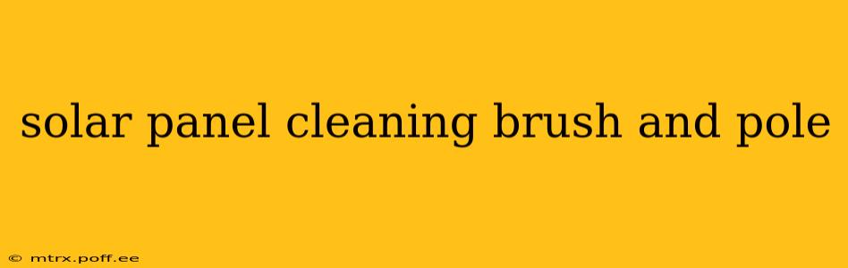 solar panel cleaning brush and pole