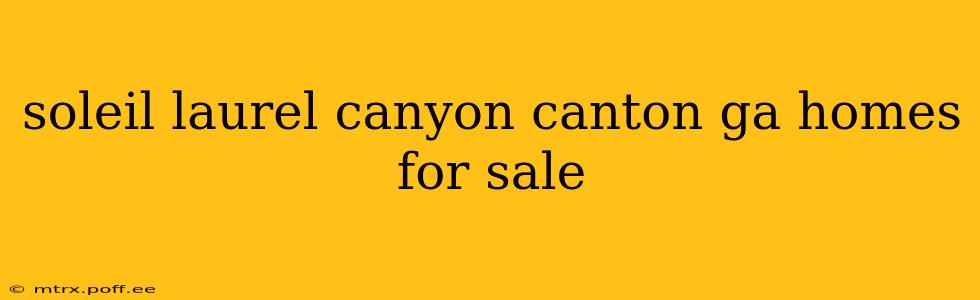 soleil laurel canyon canton ga homes for sale