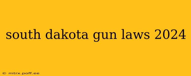 south dakota gun laws 2024