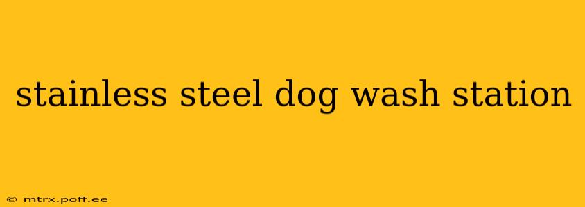 stainless steel dog wash station