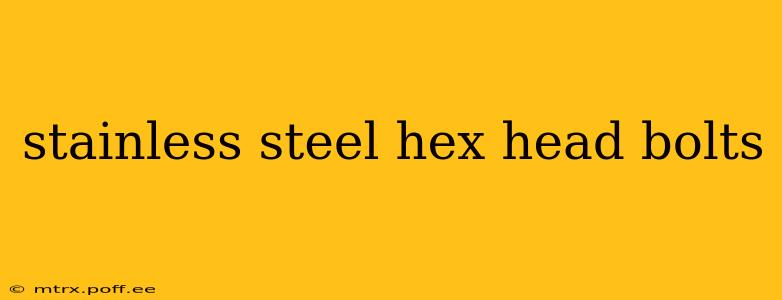 stainless steel hex head bolts
