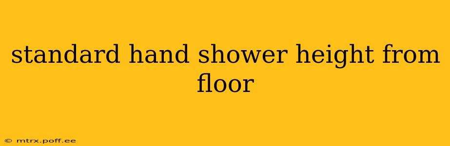 standard hand shower height from floor