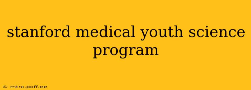 stanford medical youth science program