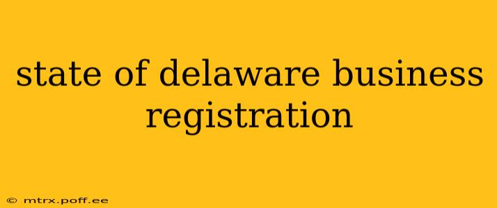 state of delaware business registration