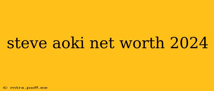 steve aoki net worth 2024