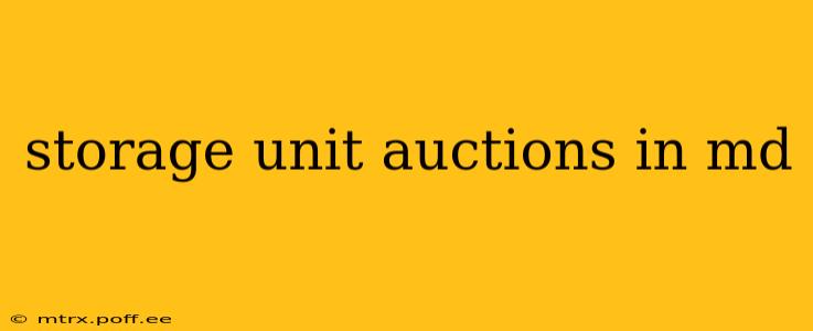 storage unit auctions in md