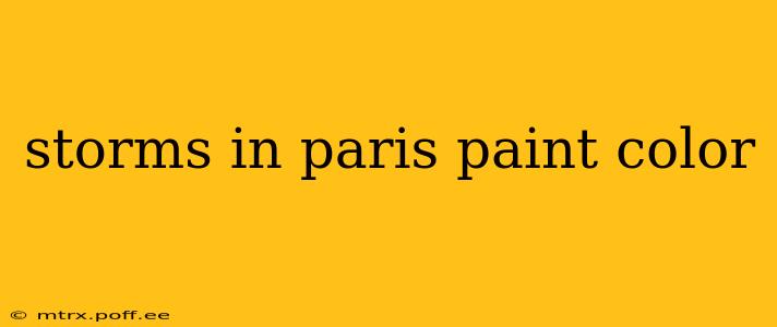 storms in paris paint color