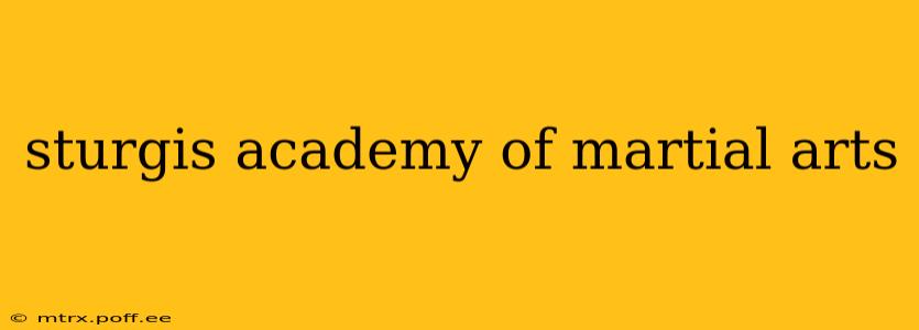 sturgis academy of martial arts
