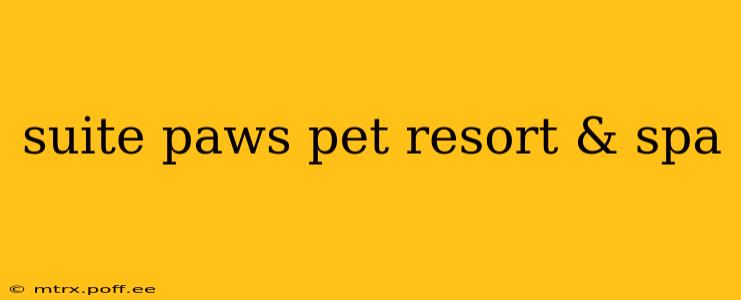 suite paws pet resort & spa