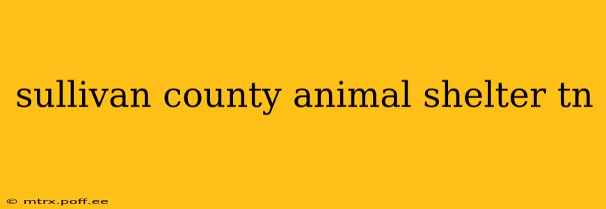 sullivan county animal shelter tn