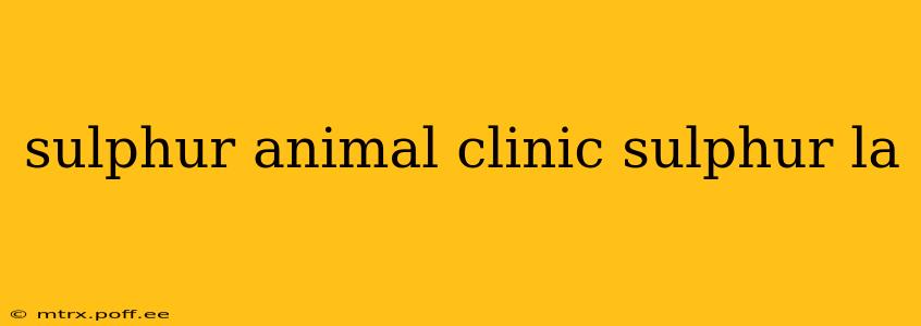 sulphur animal clinic sulphur la