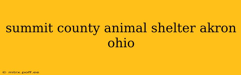summit county animal shelter akron ohio