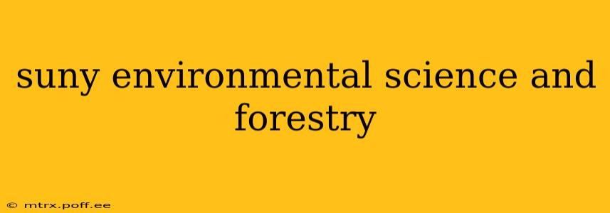 suny environmental science and forestry