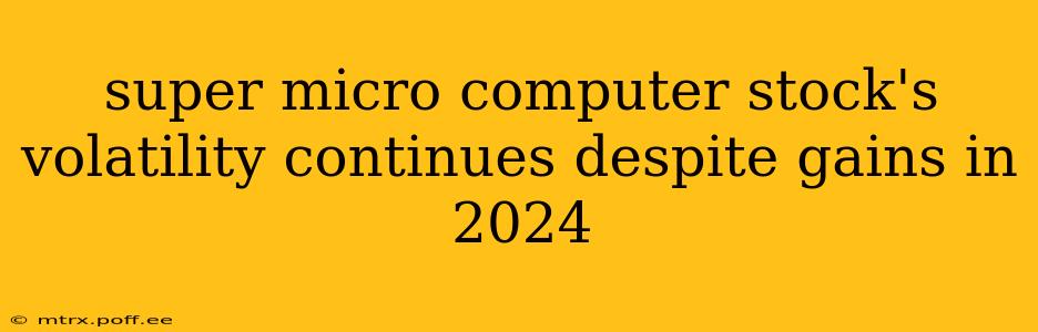 super micro computer stock's volatility continues despite gains in 2024