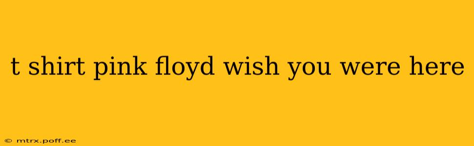 t shirt pink floyd wish you were here