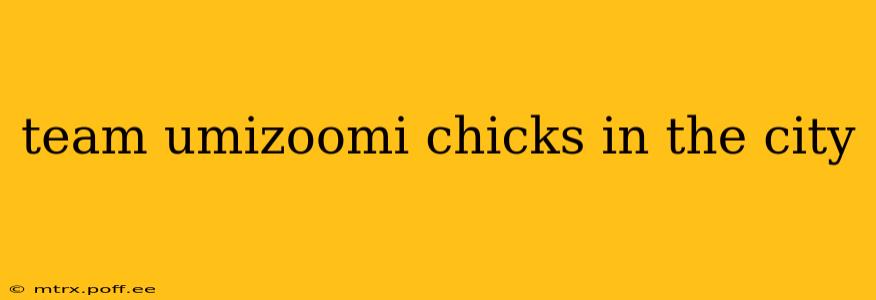 team umizoomi chicks in the city