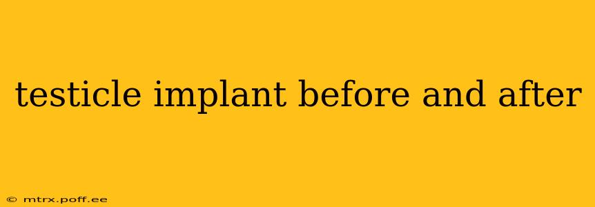 testicle implant before and after