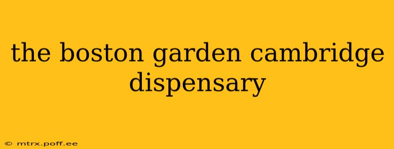 the boston garden cambridge dispensary