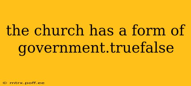 the church has a form of government.truefalse