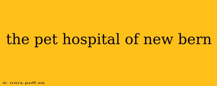 the pet hospital of new bern
