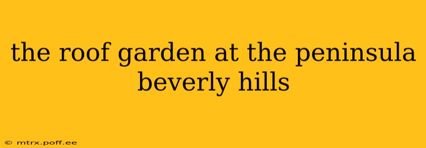 the roof garden at the peninsula beverly hills