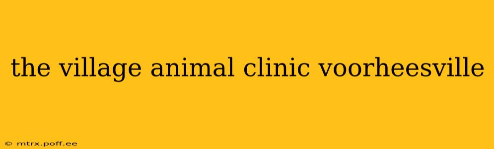 the village animal clinic voorheesville