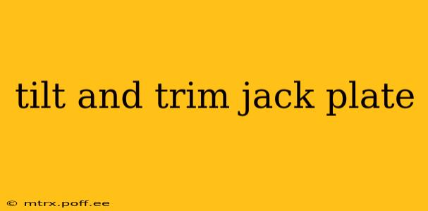 tilt and trim jack plate