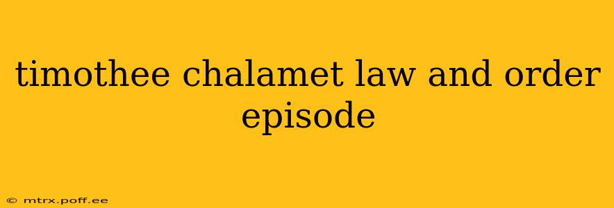 timothee chalamet law and order episode