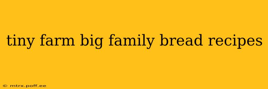 tiny farm big family bread recipes