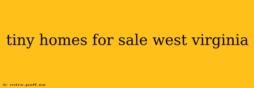 tiny homes for sale west virginia