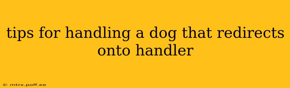 tips for handling a dog that redirects onto handler