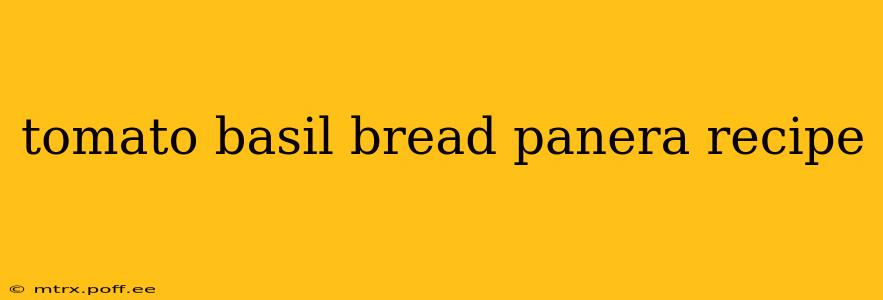 tomato basil bread panera recipe