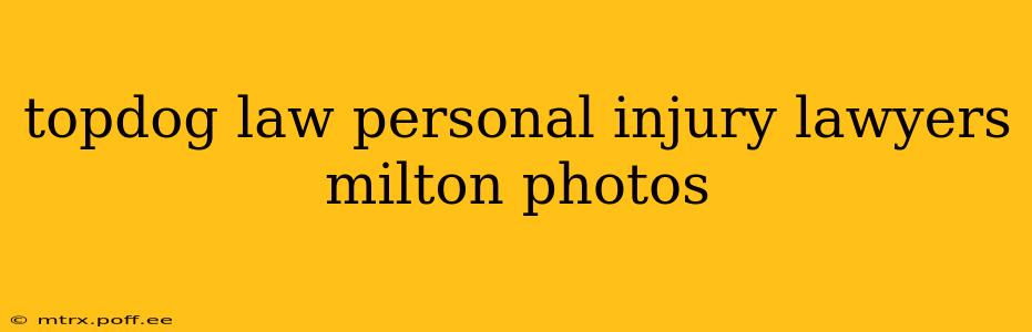 topdog law personal injury lawyers milton photos