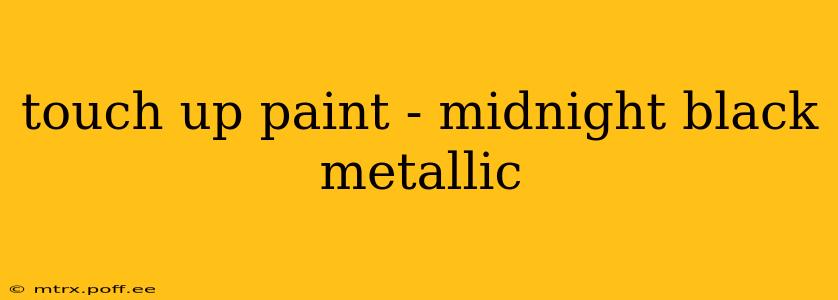 touch up paint - midnight black metallic