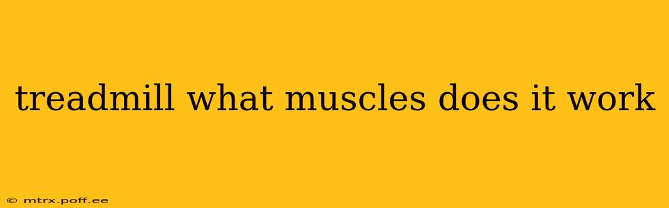 treadmill what muscles does it work